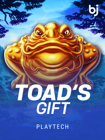 Toad's Gift game cover