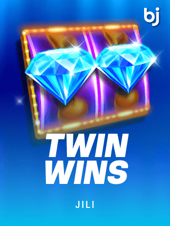 TWIN WINS game cover